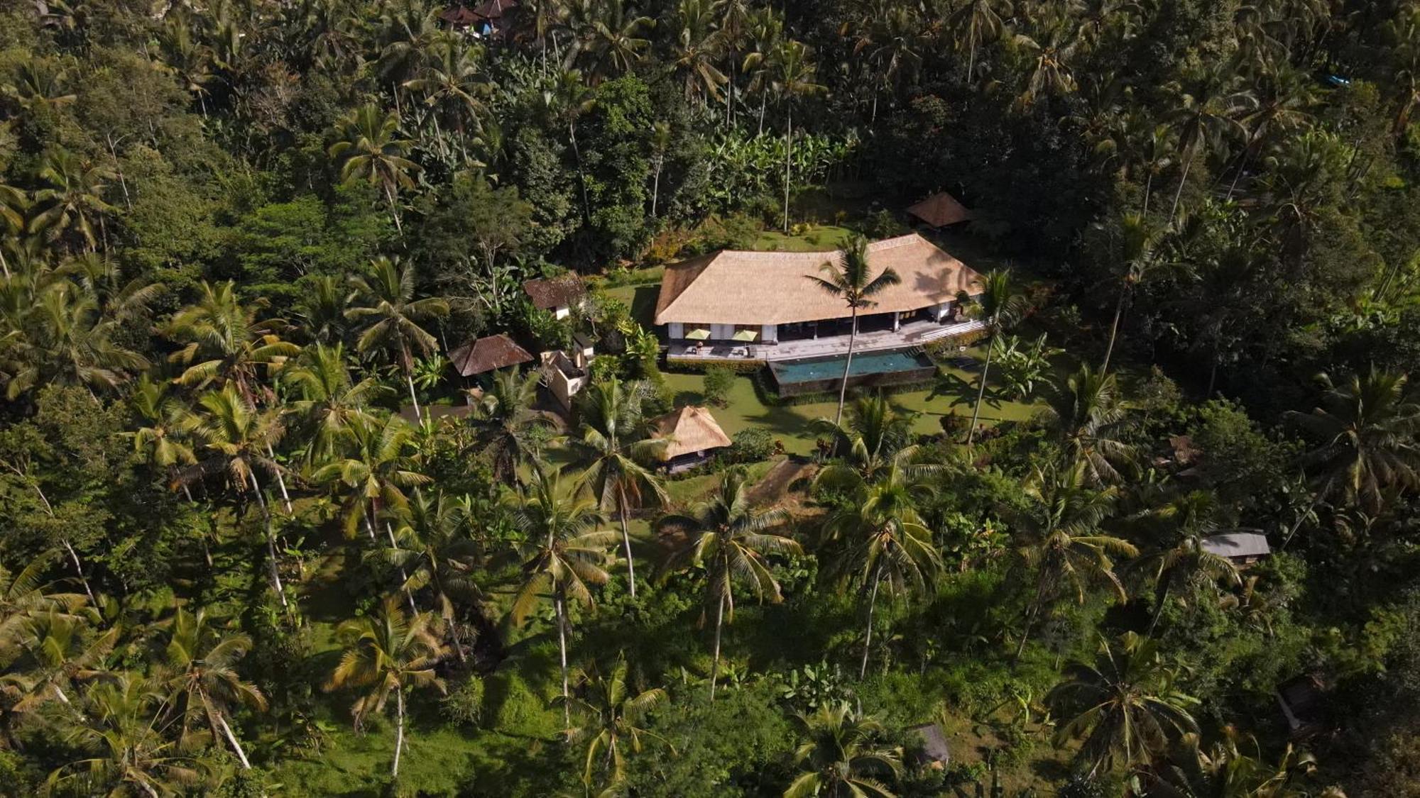 Villa Themma Jungle - Sumptuous 3Br Luxury Villa With Majestic Jungle View North Of Ubud Bagian luar foto