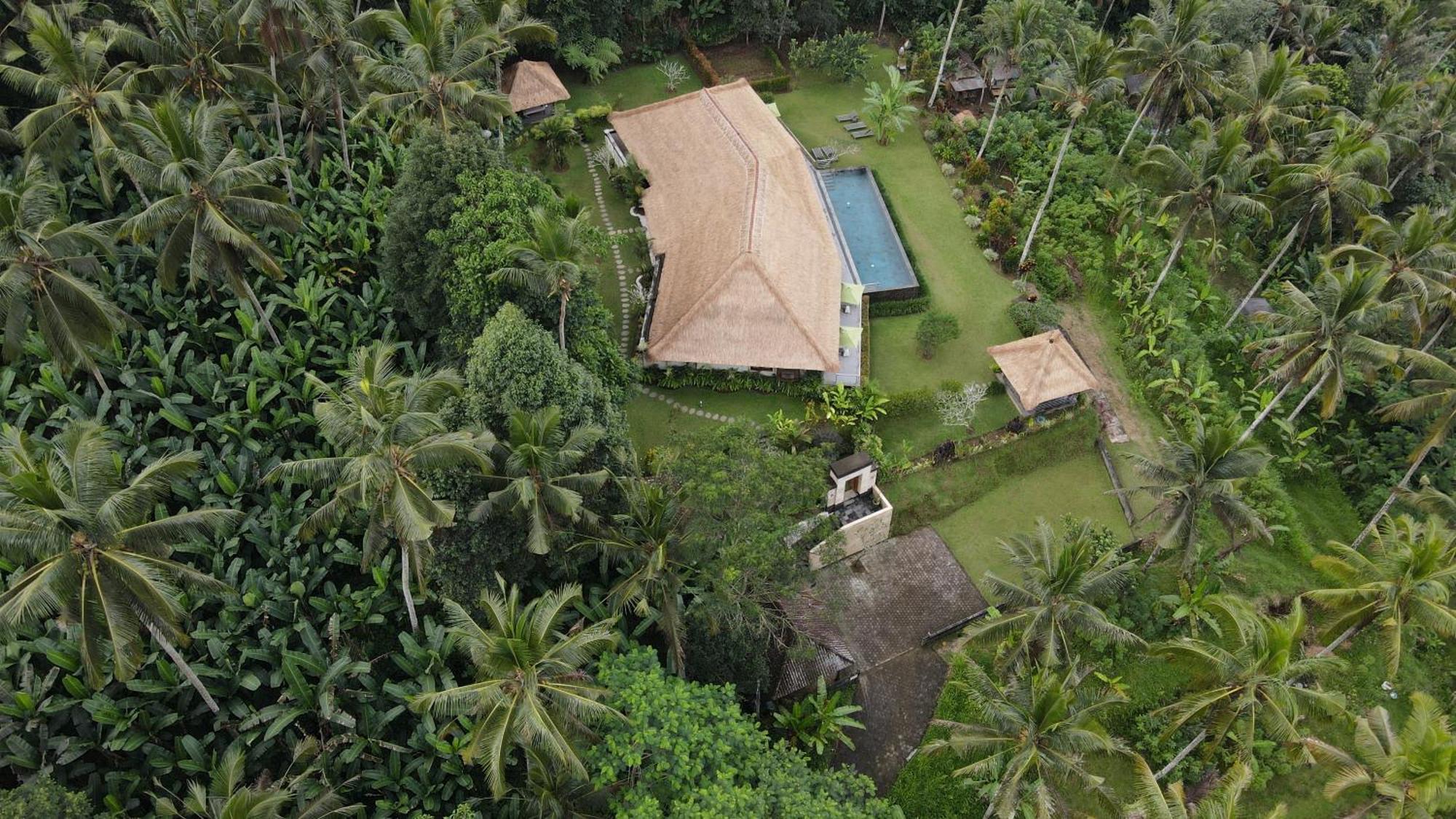 Villa Themma Jungle - Sumptuous 3Br Luxury Villa With Majestic Jungle View North Of Ubud Bagian luar foto