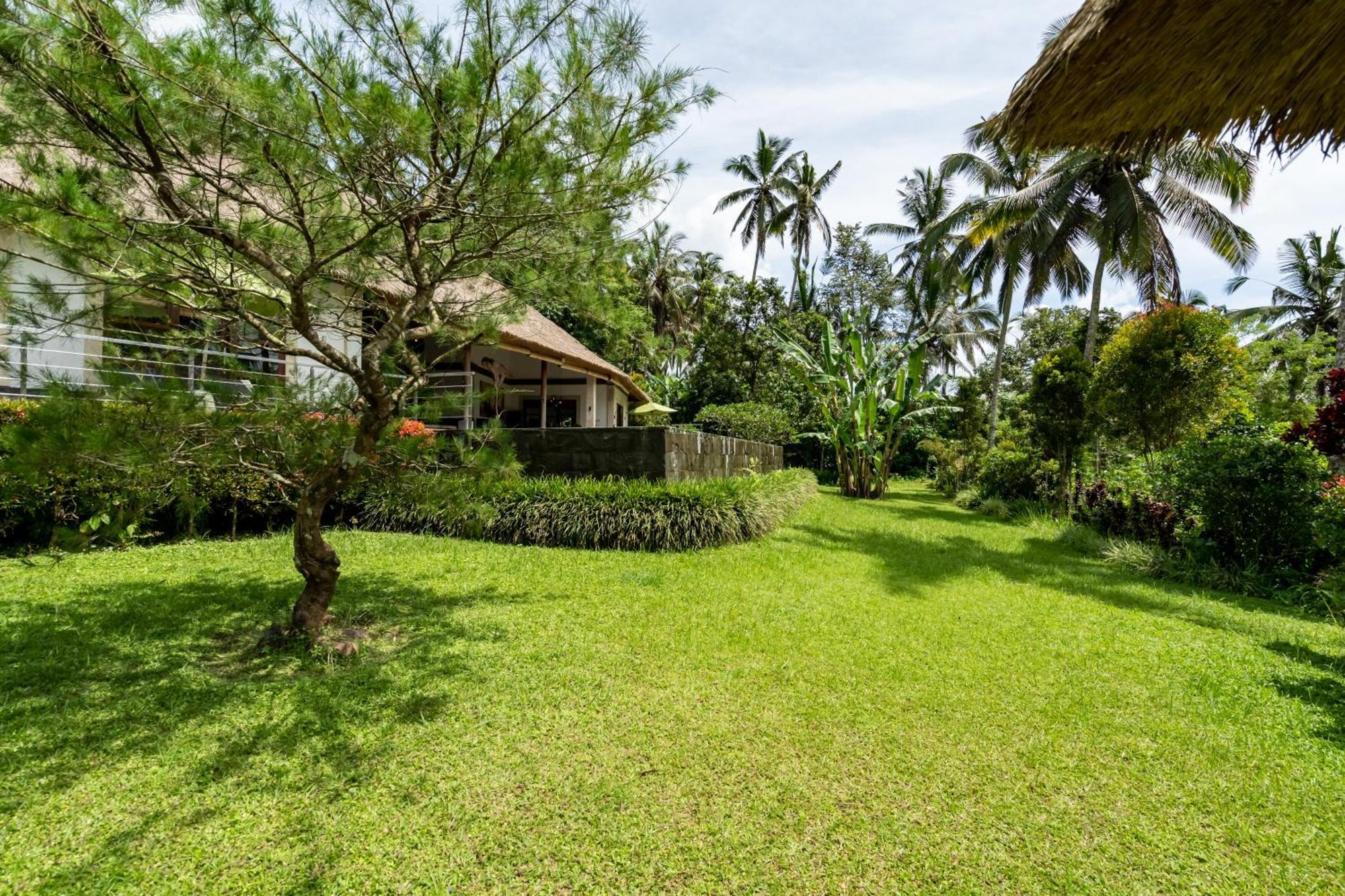 Villa Themma Jungle - Sumptuous 3Br Luxury Villa With Majestic Jungle View North Of Ubud Bagian luar foto