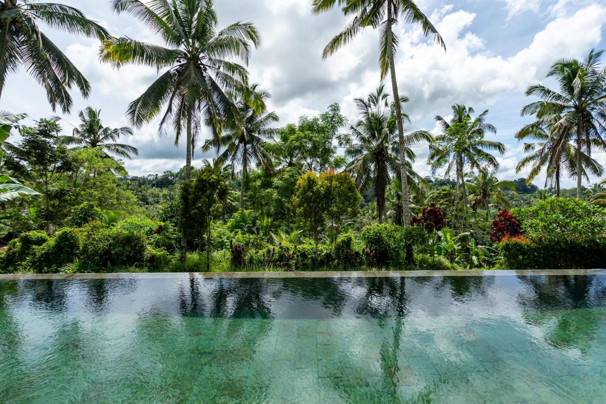 Villa Themma Jungle - Sumptuous 3Br Luxury Villa With Majestic Jungle View North Of Ubud Bagian luar foto
